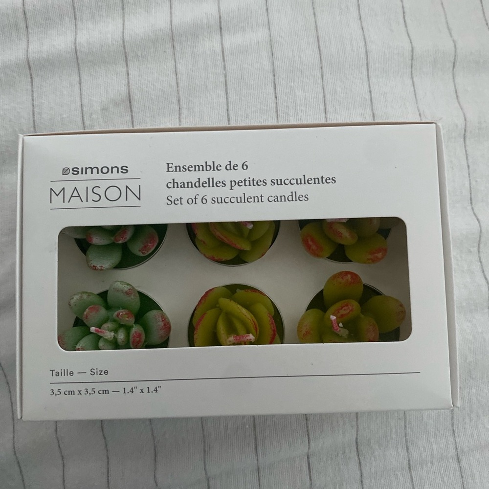 Simons Maison Succulent Candle Set